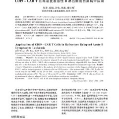 Application of CD19 CAR T Cells in Refractory Relapsed Acute B Lymphocyte Leukemia