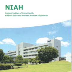 National Institute of Animal Health Quarterly