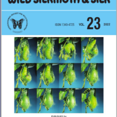 International Journal of Wild Silkmoth 038 Silk